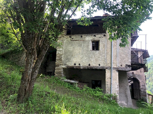 Sabato 16 Maggio 2026 a Celle di Macra Passeggiata tra Natura e Cultura